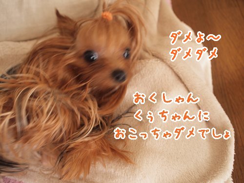 e0248268_07110032.jpg