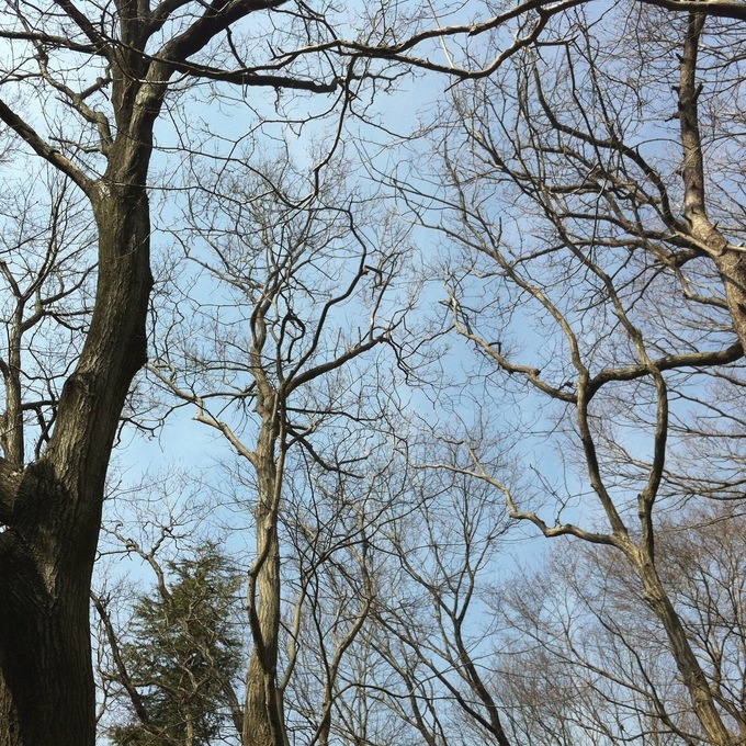 a0152078_108914.jpg