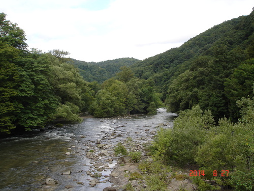 d0165378_9283489.jpg