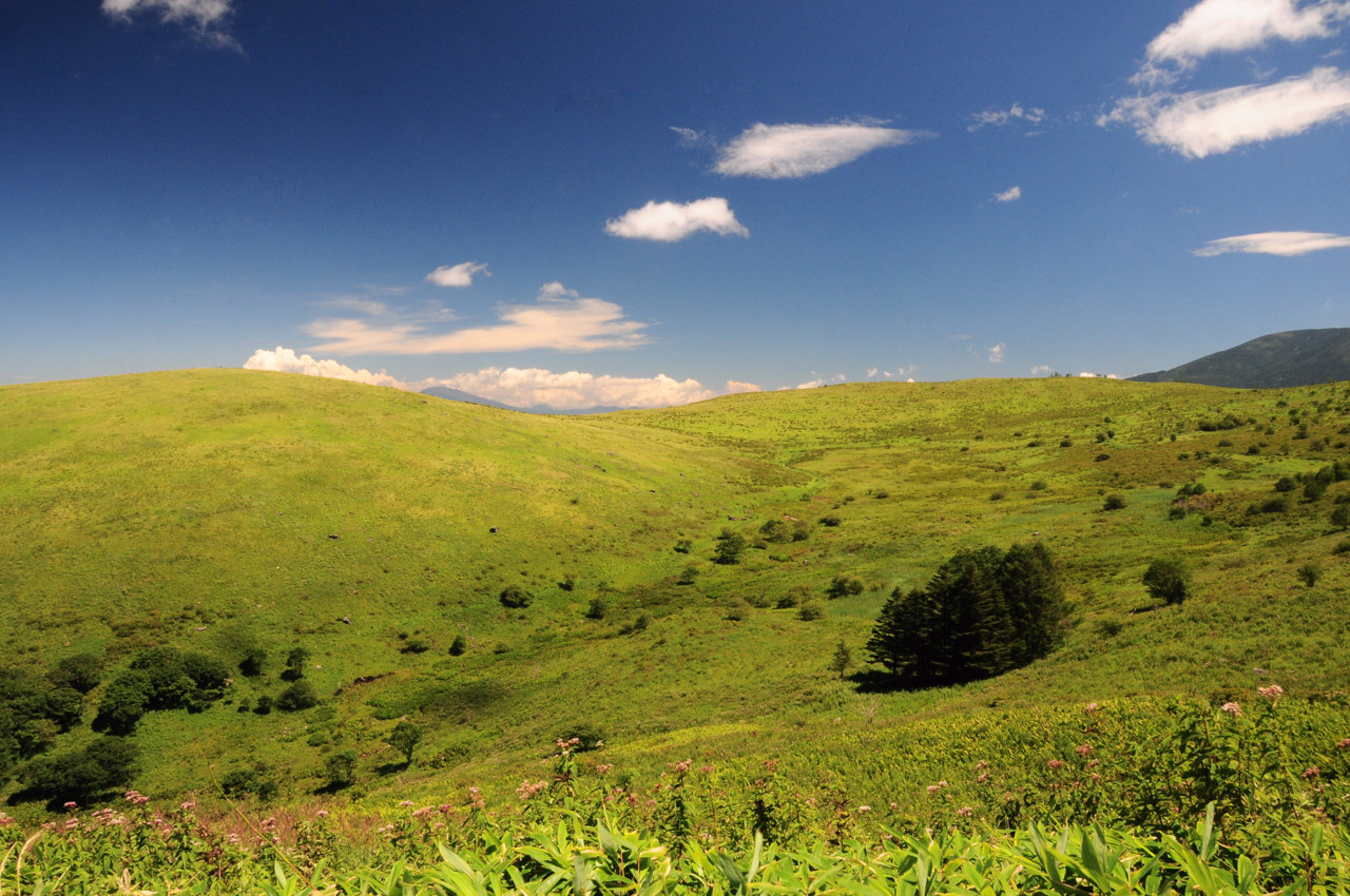 d0157380_5555026.jpg