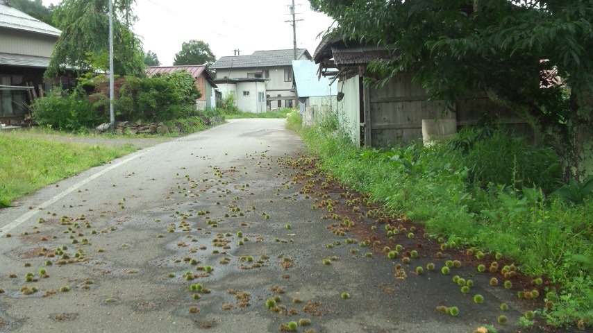 a0130586_10333098.jpg