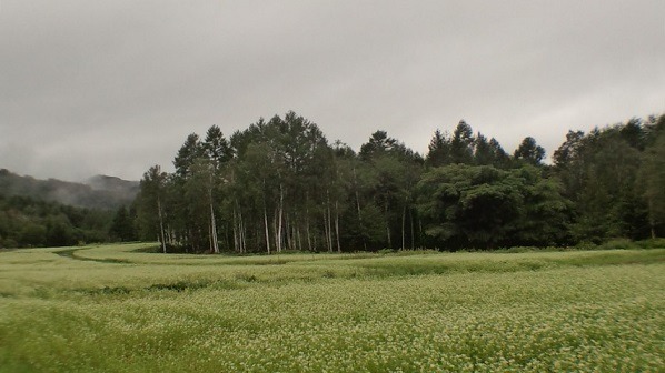 a0130586_10385092.jpg
