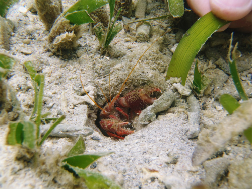 f0338188_12171287.jpg