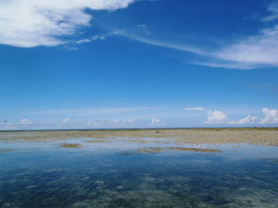 f0338188_1219712.jpg