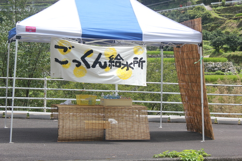 e0101917_131694.jpg