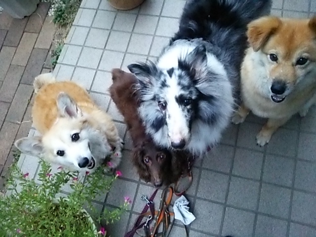 c0150520_13263372.jpg