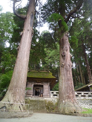 f0031420_8342848.jpg