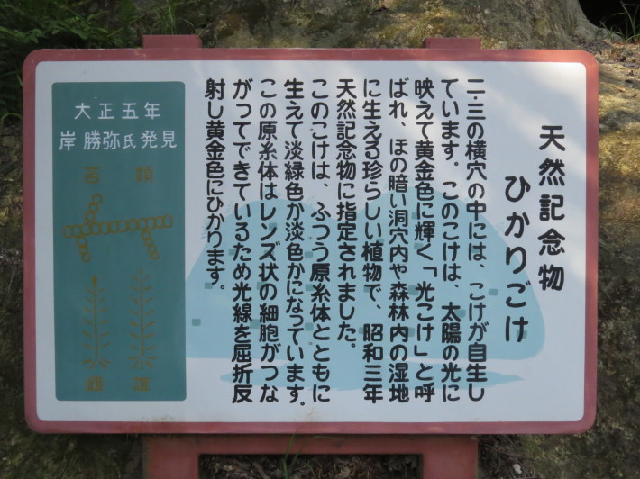 c0087023_10282176.jpg