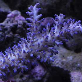d0221436_20454916.jpg