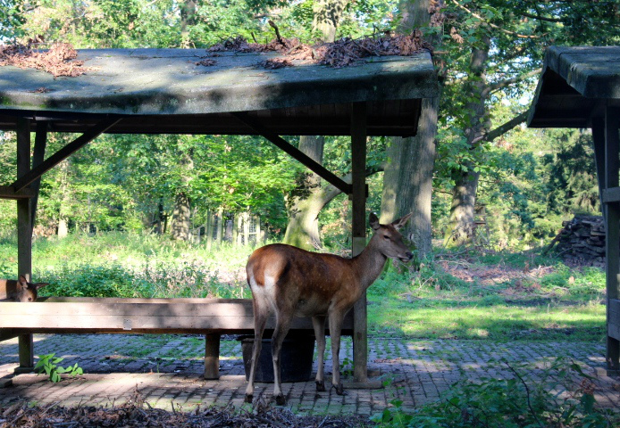 c0153740_1532275.jpg