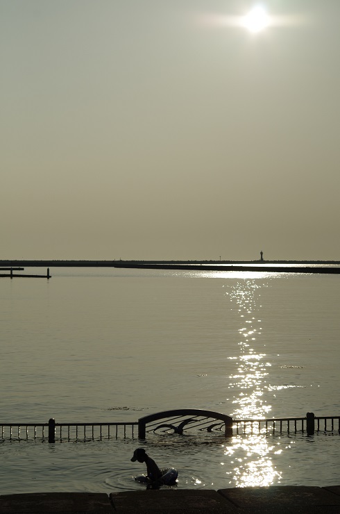 d0165741_2134212.jpg