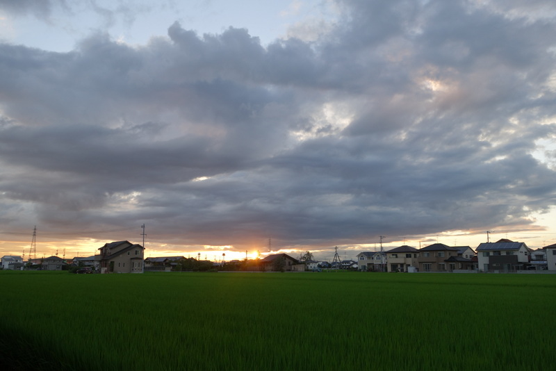 c0216472_1003856.jpg