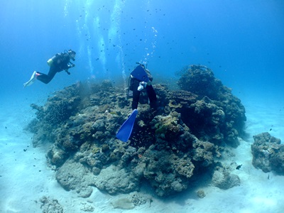 b0033573_17425769.jpg