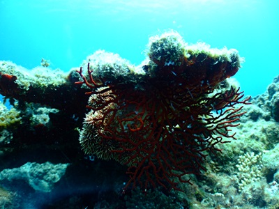 b0033573_17431150.jpg