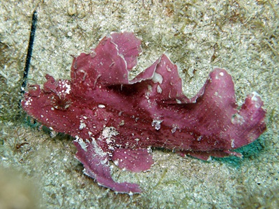 b0033573_17451314.jpg