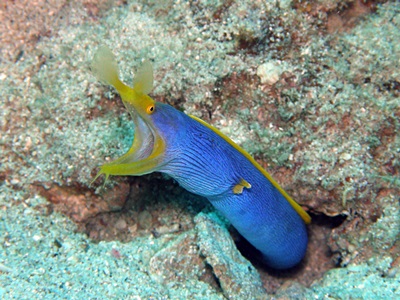 b0033573_17452111.jpg