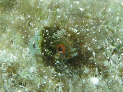 b0033573_17454164.jpg