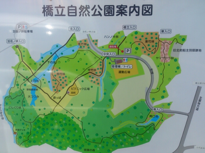 d0095673_1943506.jpg
