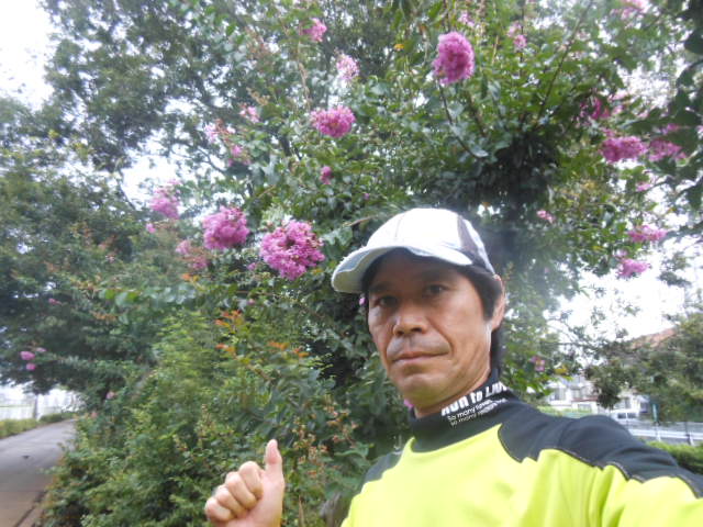 c0206177_15205425.jpg