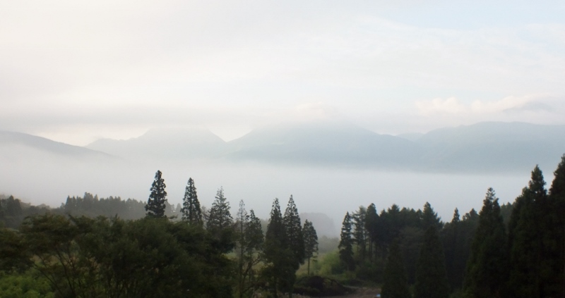 f0082181_21222023.jpg
