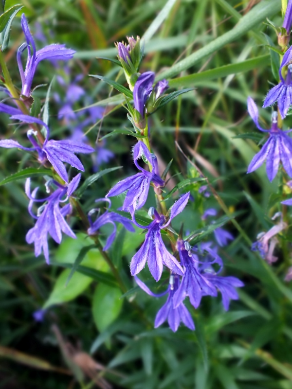 f0082181_2129818.jpg
