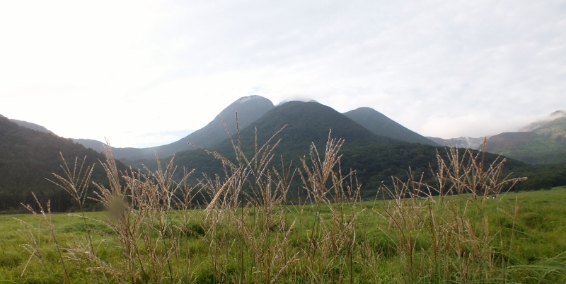 f0082181_21304962.jpg