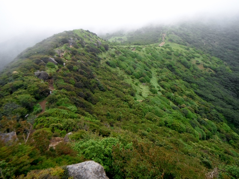f0082181_21451054.jpg