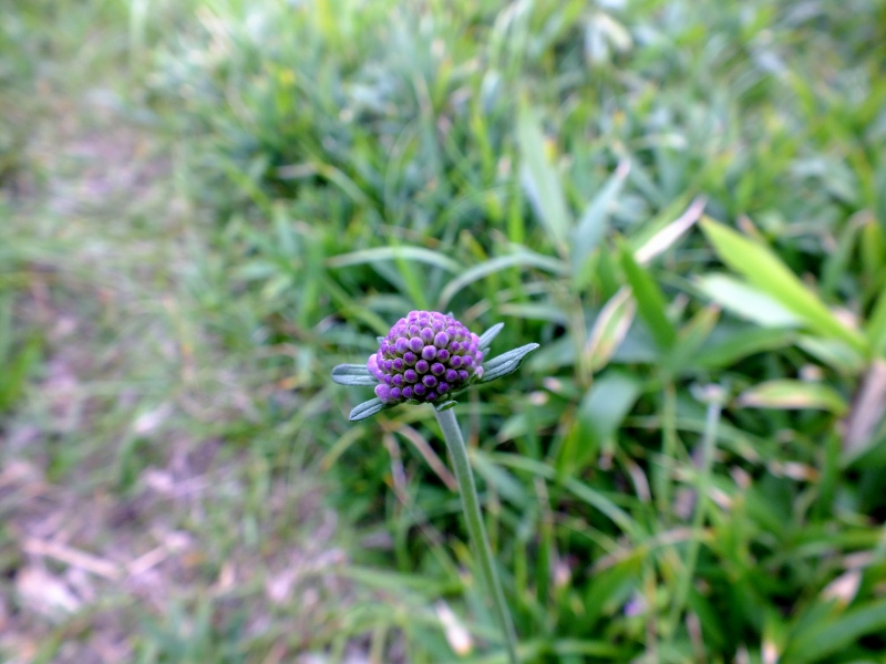 f0082181_21472637.jpg