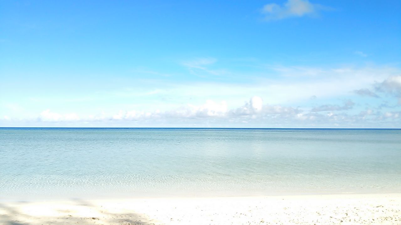 e0199691_0415955.jpg