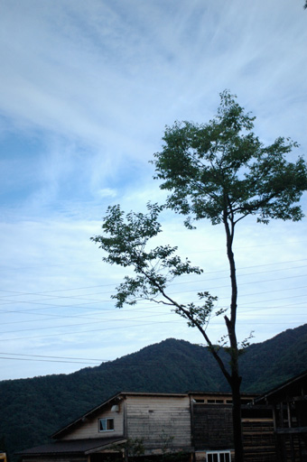 a0061599_7261569.jpg