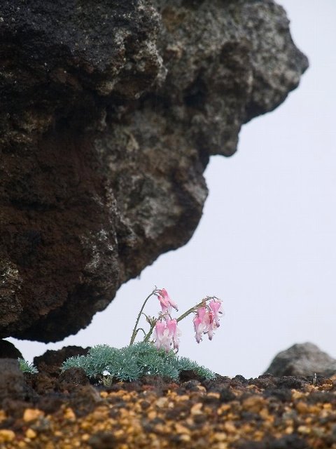 c0008502_19272874.jpg