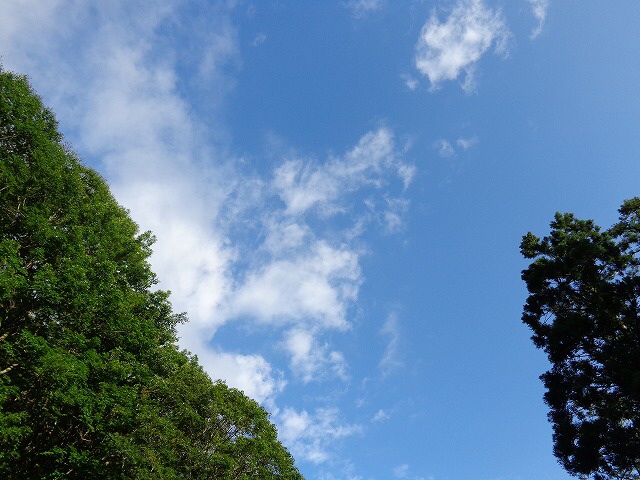 b0326303_08521576.jpg