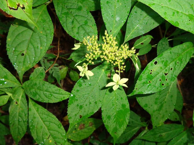b0326303_19152104.jpg