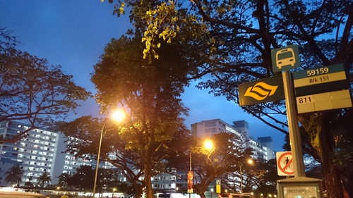 c0142508_22393377.jpg
