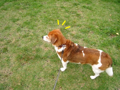 c0084117_1912449.jpg