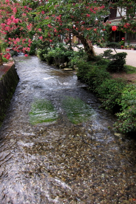 e0133025_22265845.jpg