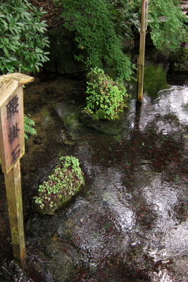 e0133025_22270961.jpg