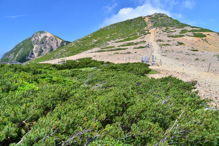 b0236334_20375294.jpg