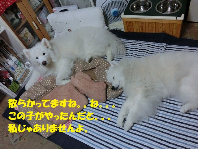 e0196135_8592273.jpg