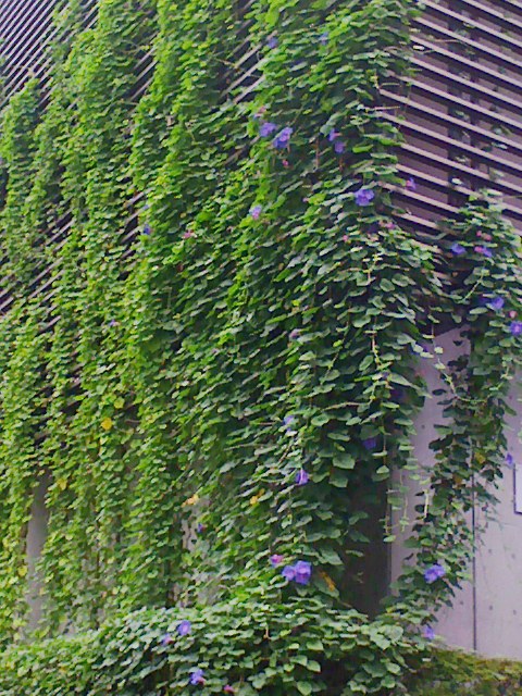 b0031140_13585416.jpg