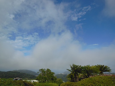 a0166447_23425748.jpg