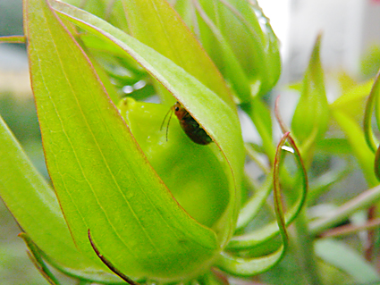f0161647_14255097.jpg