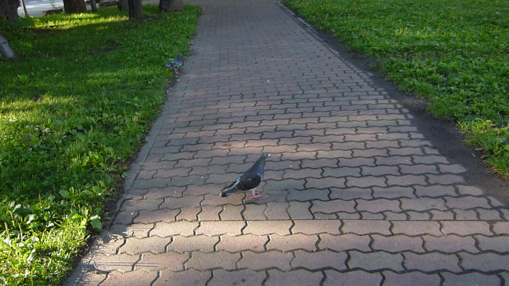 a0193457_20182386.jpg