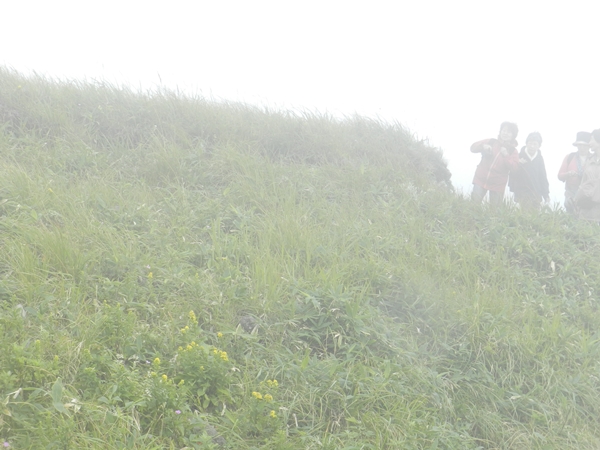 e0020957_15292132.jpg