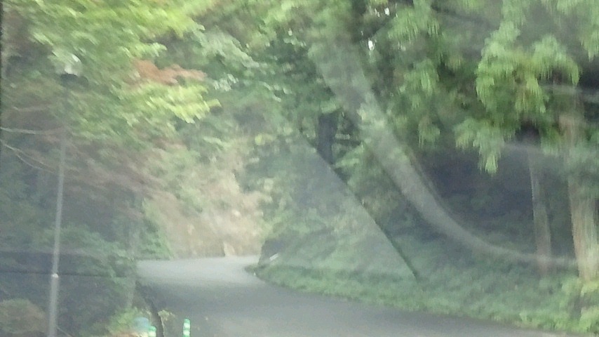 a0267766_1138723.jpg