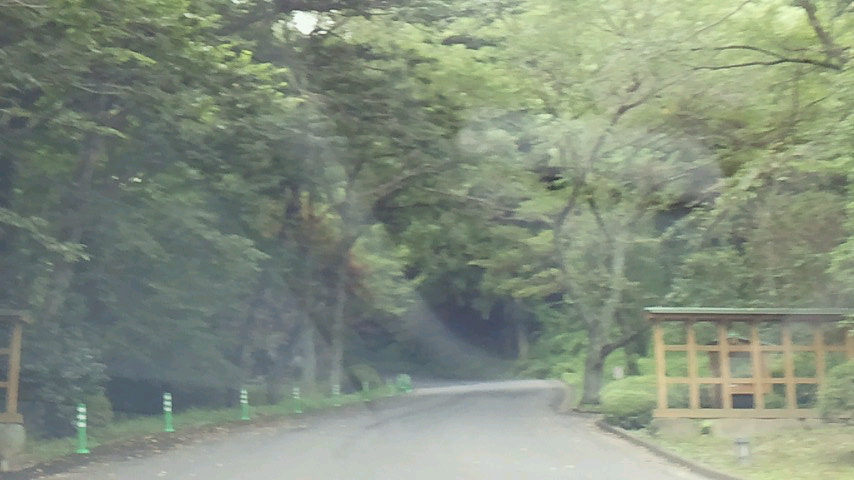 a0267766_1138751.jpg