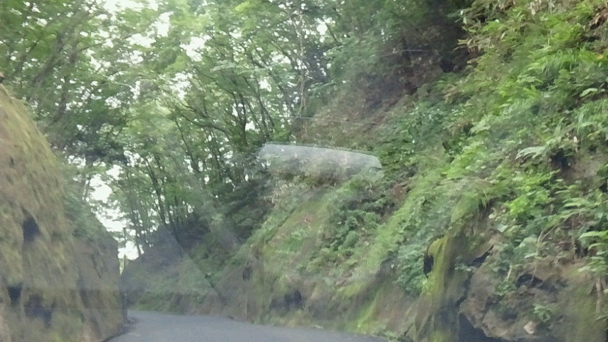 a0267766_1138790.jpg