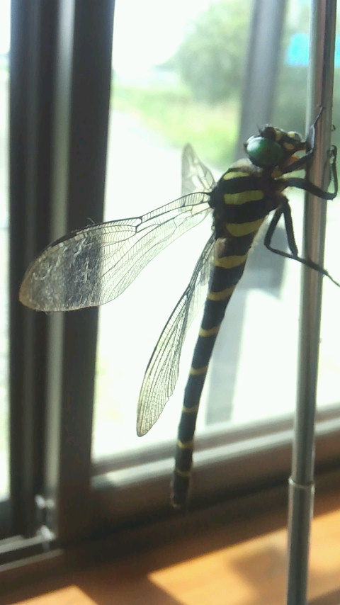 a0267766_12271130.jpg