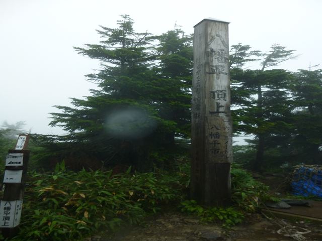 d0126573_18422826.jpg