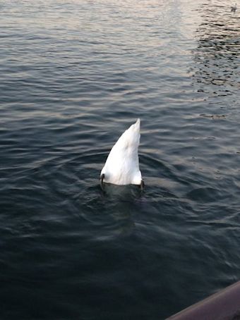 e0164774_2117067.jpg